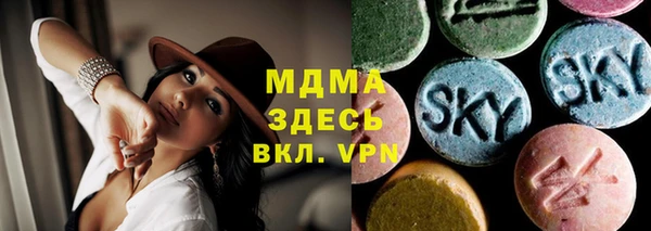 мдпв Инсар