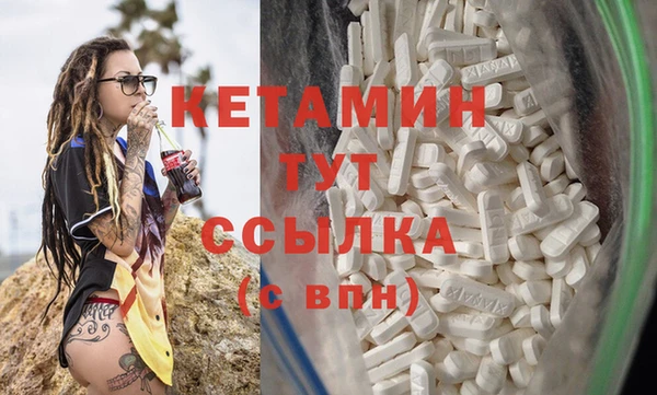 мдпв Инсар