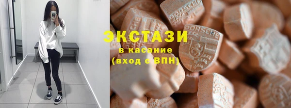 мдпв Инсар