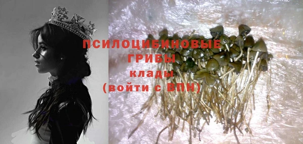 мдпв Инсар