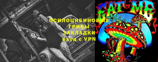 эйфоретик Инта