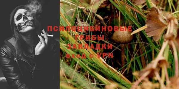 мдпв Инсар