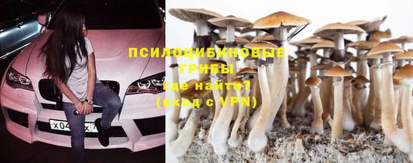мдпв Инсар