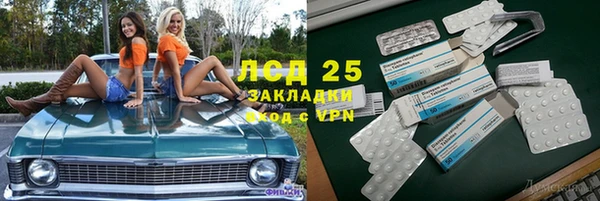 мдпв Инсар