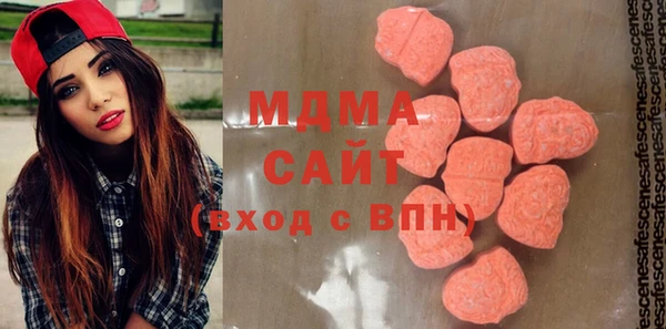 мдпв Инсар