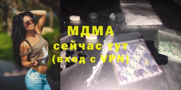 мдпв Инсар