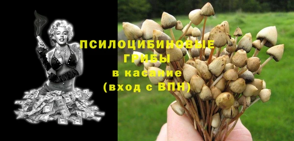 эйфоретик Инта