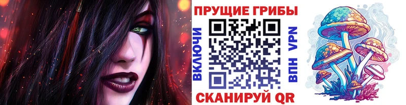 Купить  Хилок  Галлюциногенные грибы Magic Shrooms 