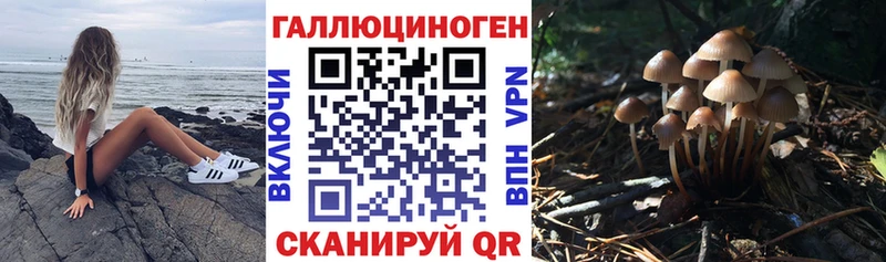 Галлюциногенные грибы MAGIC MUSHROOMS Хилок
